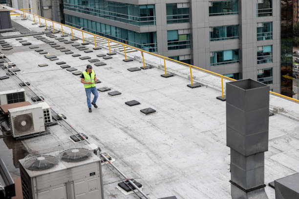 Best Storm Damage Roof Repair  in Versailles, KY