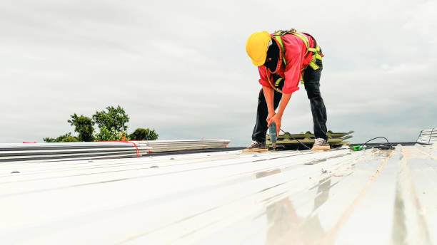 Best Skylight Installation and Repair  in Versailles, KY